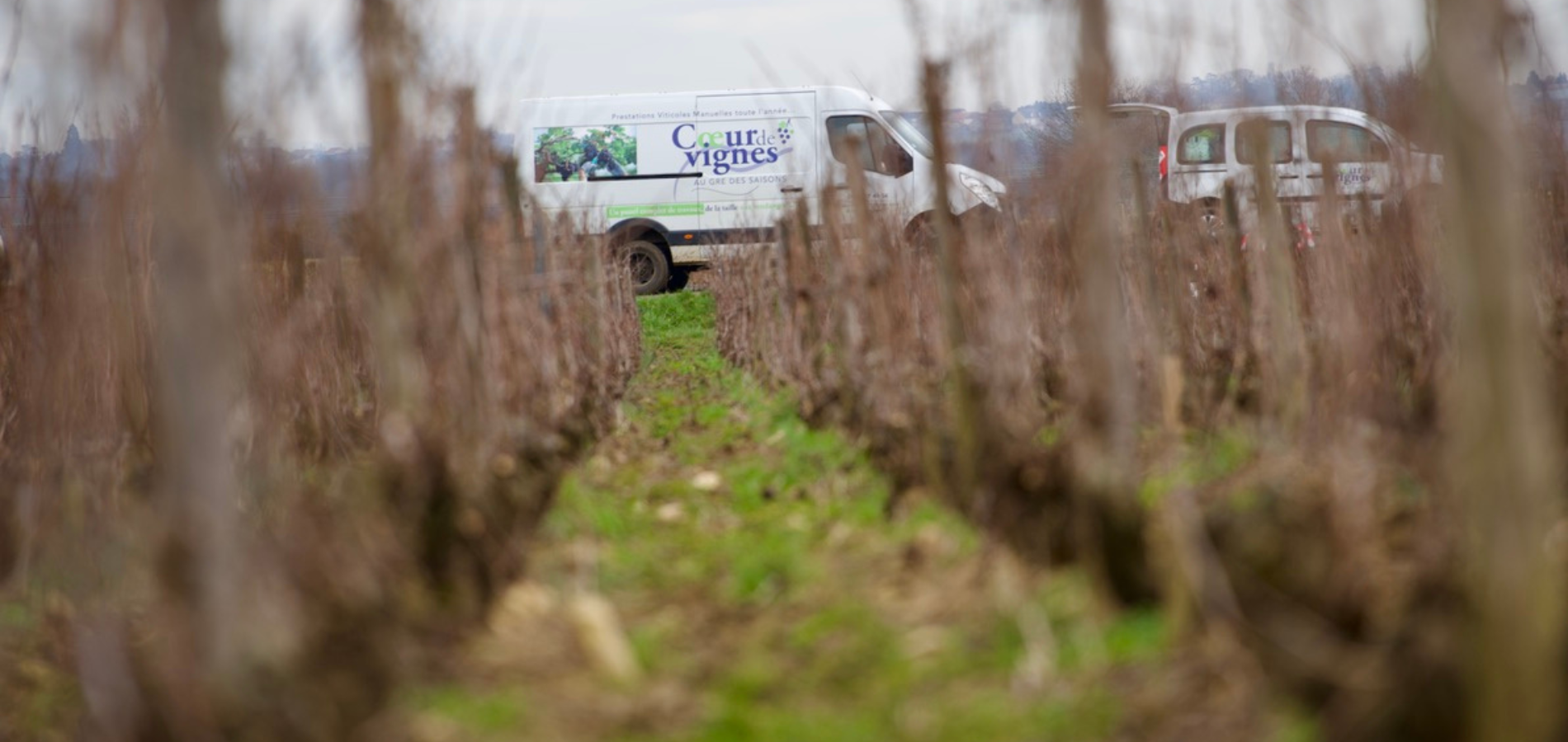 Camion de prestations viticoles au bout d’une rangée de vignes